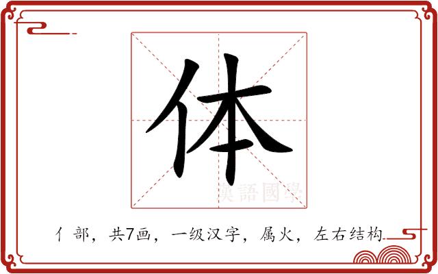 体